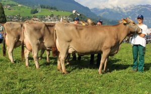 Sarnen13 066